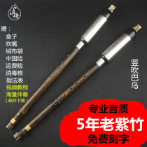 Yunnan Dianfeng musical instruments for children and adults for beginners Zizhu professional performance type DC down BGF tune vertical blow Bawu