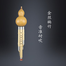 Yunnan Yuanfeng Nanzhu professional performance type beginner grade examination children students adult C downgrade B tune gourd silk musical instrument