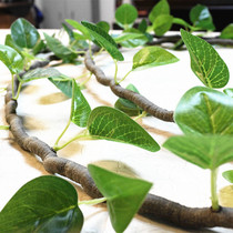 Simulation tree vine winding hanging shape decoration ivy fake flower leaves green Luo vine indoor plant green plant landscaping