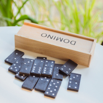 Wooden Boxed Dominoes Black Dominoes Wooden Board Game Toys