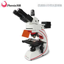 Phoenix BMC533-FLED-UVBG four-band LED fluorescence microscope