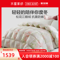 Waterstar home spun down quilted by 95 white goose down quilted by the core Spring and autumn quilted by air conditioning by double goose down quilted by bed