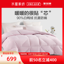 Waterstar Home Textile antibacterial and anti-mite down quilted by winter thick quilted by air conditioning Quilt Single Double Warm Quilt Core Duck Suede Quilt