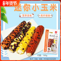 Pets 88 Hamada Mini Corn Rabbit Totoro Hamster Dutch Pig Natural molar Corn Grill Corn Grill