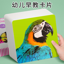 Early Education card baby puzzle children Animal color cognition concentration training flash card infant knowledge toy
