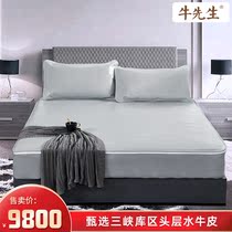 Mr. Niu gray net bag head layer buffalo skin