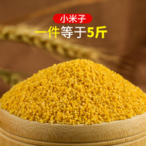 Shellless millet millet yellow millet Pearl bird tiger skin bird bird bird food feed egg millet raw material