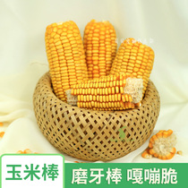 Mini Corn Rod Grindroe Nourishment Barn Rat Rabbit Dragon Cat Guinea Pig Squirrel Pet Grinding Tooth Stick Substitute Sweet Bamboo Grass Cake