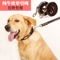 Head-layer pippy dog traction rope in the head