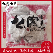 Spot Hong Kong Shanghai Fengshu Fengshao Mei Wang Chuanbei lemon 3 taels 112g salted lemon dried bubble water
