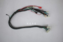 Little monkey motorcycle circuit bus orangutan harness motorcycle circuit assembly line with disc brake drum brake