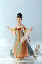 Zhiyan Original childrens Hanfu Early Tang Dynasty full chest twelve broken inter-color cross-stitch skirt shirt feather sleeve girls Hanfu