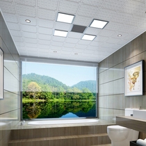 XILV West aluminum integrated ceiling gusset plate Datang Shengyun X3-329-G102 Nordic style modern simplicity