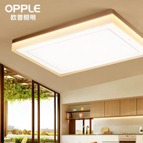 Europ Pleasing Ceiling Lights Pleasing Creative Personality Lamps LED Lamp Living room Bedroom lighting lamps