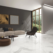 Dongpeng tile jazz White FG802100 living room brick vitrified brick Tianfu line one line on the same price