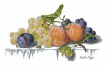 11989 Sand fruit grape and peach plum 220-129 cross stitch electronic drawing redrawing source file XSD