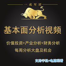 Fundamental analysis Video Course stock learning tutorial value investment financial statement analysis and stock valuation.