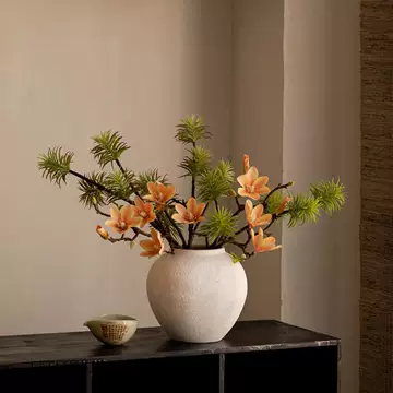 镧林侘寂陶瓷花瓶-镧林侘寂陶瓷花瓶促销价格、镧林侘寂陶瓷花瓶品牌- 淘宝
