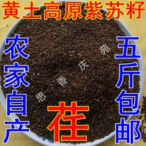 Northwest Gansu local product Qingyang Ye seed Perilla seed Black Su seed Perilla seed powder 500g Special promotion food