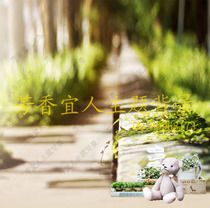 2022 Curtain photography background cloth photo studio wedding theme waterproof PP paper Childrens S-357