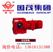 Jiangsu Changzhou Guomao Reducer Group GSA Series Helical Gear Reducer GSAT100