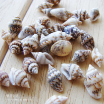 Conch shell handmade (Mini small snail 200 0 5-1cm) home floor wall stickers layout