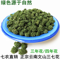 2021 Yunnan Wenshan special new three-seven flower tea four-year short handle