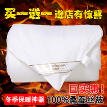 Tongxiang silk quilt 100 mulberry silk quilt core handmade winter thickened special price