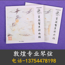 Dunhuang Jinghu Qinxian Hundred Flower String Imported String Professional Jinghu Qinxian Xipian Two Yellow String