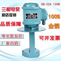 Shanghai Nikko machine tool cooling pump single three-phase electric pump DB-12 40WAB-25 90W JCB water pump oil pump