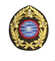 Film and TV props Military three-dimensional embroidery hat emblems military great cap hat emblems big along the cap emblems