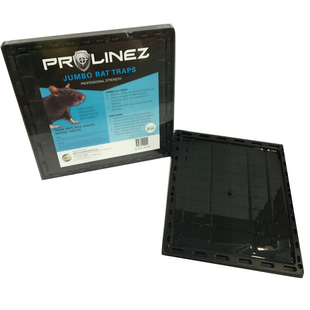 新加坡傧杰有限公司旗舰店首页,新加坡傧杰有