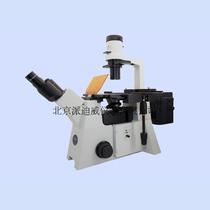 PDV paidiwei YG-50 fluorescence microscope cell fluorescence staining observation