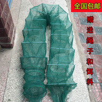Avocado Totem Folded Fishing Nets Catch Fish Nets Fishing Gear Lobster Automatic Shrimp Cage Shrimp Netting Fish Fishing Fishing Instrumental Fishing Gear