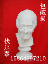 Art supplies plaster teaching aids Voltaire gypsum head education still life art test supplies plaster