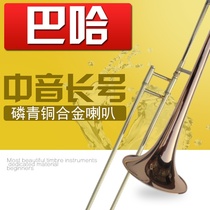 Special phosphor bronze alloy horn for Baja B-tone alto horn for beginners and graded students Alto pull pipe