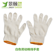 Protective gloves cotton thread labor protection gloves white cotton gloves garden gardening thread wear-resistant non-slip thickening