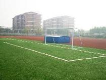 Sports to undertake football turf artificial football grass football field construction equipment