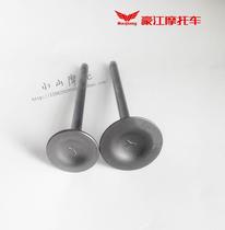 Haojiang HJ125 150 Leopard Beasts Tiger Motorcycle Chain Engine Original Intake Valve Exhaust Valve