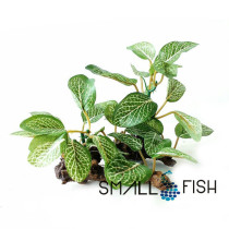 Simulation of water plants fake water plants 1529102 aquarium landscaping box fish tank bottom decoration 12CM high