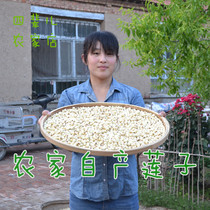 Uncle Zhang planted farmers white lotus seed non-sulfur-free cored dry goods lotus seed non-Hunan lotus seed bulk 250g