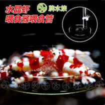 Crystal shrimp glass feeding tube feeding tub ornamental shrimp basin feeding basin High transparent high definition acrylic feeding tube