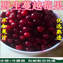 Wild cranberry fresh fruit quick-frozen fruit without added sugar preferably ripe without juice quick-frozen 500g plain sour