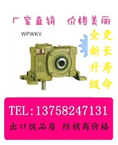 WPWKV 40 50 60 70 80 100 120 135 155 175 200 250 iron shell WP reducer