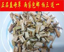 Wild Motherwort Premium Motherwort Chinese herbal medicine Motherwort hand-selected new goods 500g