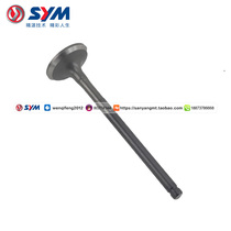 SYM Xia Xing Sanyang Locomotive XS125T-17 flagship version master GR125 exhaust valve valve