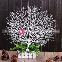 Ocean series coral branch photo studio shooting supplies simulation coral branch Dry Branch wedding props window decoration