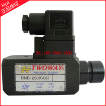 Taiwan Taiwan Taiwan Ken TWOWAY pressure relay DNB-250K-06I 22B pressure switch