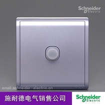 Schneider Switch HD Broadband TV Socket Famsun Lavender Silver Type 86 Wall Panel 