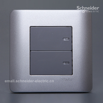 Schneider E8000ZENcelo Tap 16A 250V dual single control switch two single (silver gray)